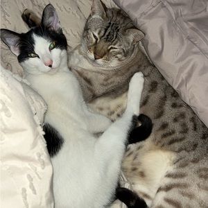 Meet your Posher, Tara